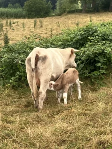 74245838732__8B46BB1D-C371-4C08-8478-7F68FB3226B3 copie