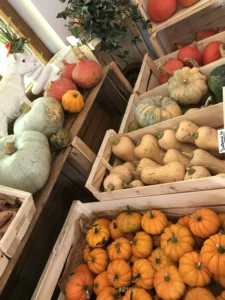 74245838732__8B46BB1D-C371-4C08-8478-7F68FB3226B3 copie3